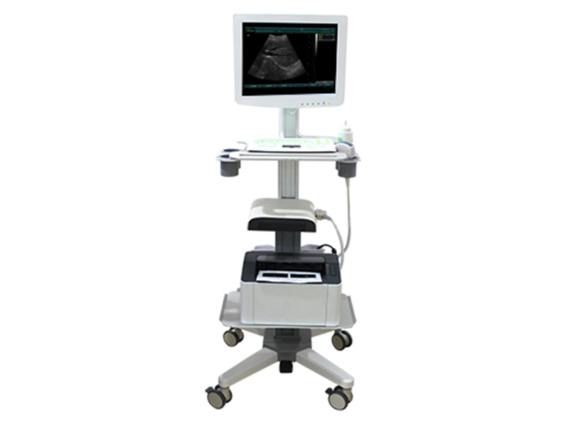 SS-100 Touch Screen Trolley Ultrasound Diagnosis B Scanner(ultrasoundultrasoniblack whitescanner)